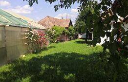 Teren intravilan generos + 2 case – 15.277 mp, front 30 m, multiple posibilități