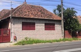 Teren intravilan generos + 2 case – 15.277 mp, front 30 m, multiple posibilități