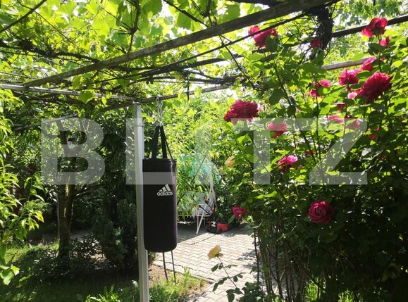 Casa de vânzare 4 camere Reghin - 192260CV | BLITZ Târgu Mureș | Poza9
