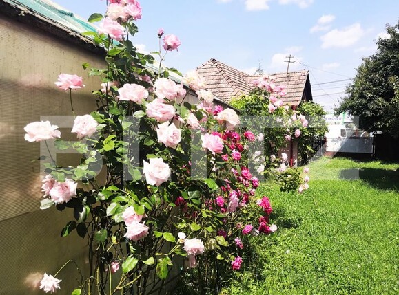 Casa de vânzare 4 camere Reghin - 192260CV | BLITZ Târgu Mureș | Poza19