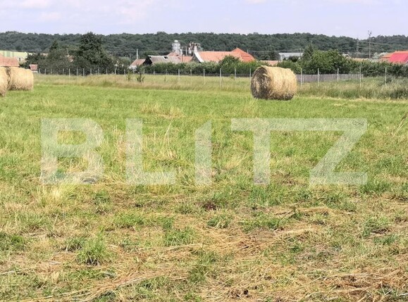 Casa de vânzare 4 camere Reghin - 192260CV | BLITZ Târgu Mureș | Poza11
