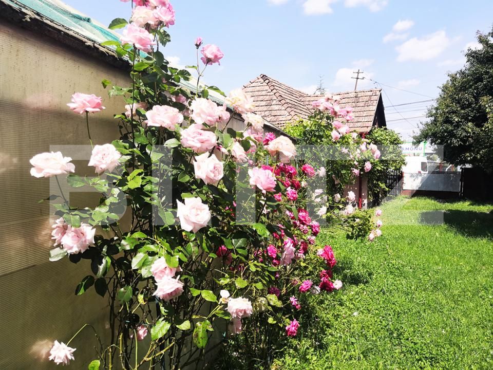 Casa de vânzare 4 camere Reghin - 192260CV | BLITZ Târgu Mureș | Poza19