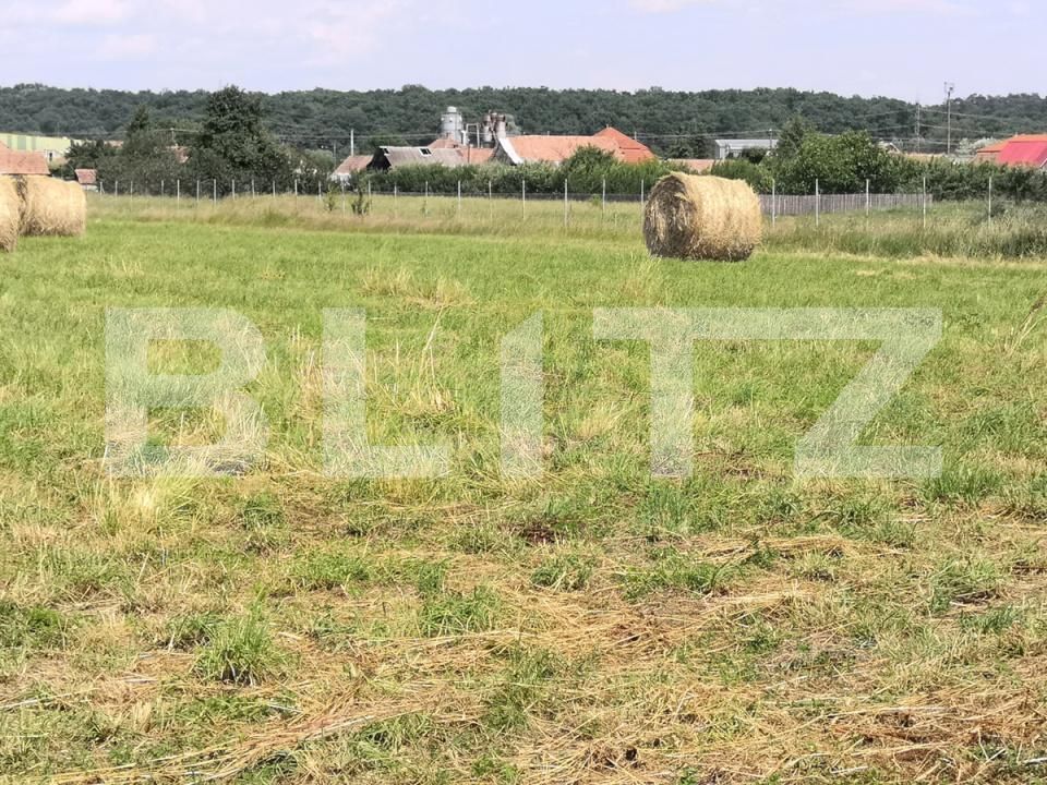 Casa de vânzare 4 camere Reghin - 192260CV | BLITZ Târgu Mureș | Poza11