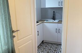 Apartament 1 camera, 21 mp, zona Tudor