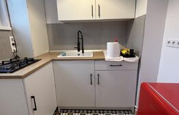 Apartament 1 camera, 21 mp, zona Tudor