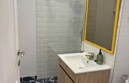 Apartament 1 camera, 21 mp, zona Tudor