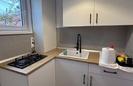 Apartament 1 camera, 21 mp, zona Tudor