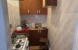 Apartament de vanzare, 2 camere, 27 mp, zona Rovinari