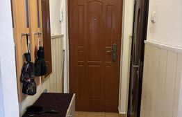 Apartament de vanzare, 2 camere, 27 mp, zona Rovinari