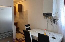 Apartament de vanzare, 2 camere, 27 mp, zona Rovinari