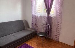 Apartament de vanzare, 2 camere, 27 mp, zona Rovinari