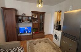 Apartament de vanzare, 2 camere, 27 mp, zona Rovinari