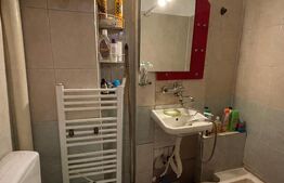 Apartament de vanzare, 2 camere, 27 mp, zona Rovinari