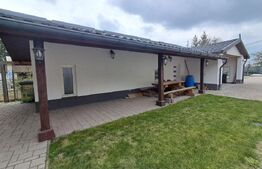 Proprietate deosebită 2 case, lac de pește, finisaje premium 