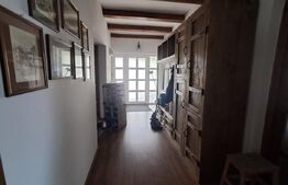 Proprietate deosebită 2 case, lac de pește, finisaje premium 
