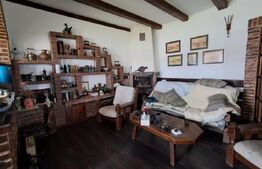 Proprietate deosebită 2 case, lac de pește, finisaje premium 
