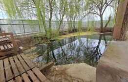Proprietate deosebită 2 case, lac de pește, finisaje premium 