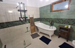 Proprietate deosebită 2 case, lac de pește, finisaje premium 