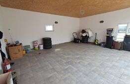 Proprietate deosebită 2 case, lac de pește, finisaje premium 