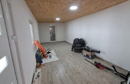Proprietate deosebită 2 case, lac de pește, finisaje premium 