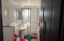 Apartament 2 camere, 38 mp, zona Dambu