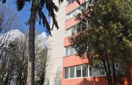 Apartament cu 3 camere, 60 mp, Dambu Pietros
