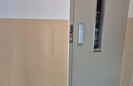 Apartament cu 3 camere, 60 mp, Dambu Pietros