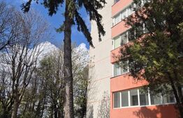 Apartament cu 3 camere, 60 mp, Dambu Pietros