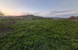 Teren intravilan 2.512 mp (25 ari) în Nazna – ideal pentru construcție