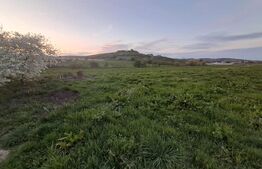 Teren intravilan 2.512 mp (25 ari) în Nazna – ideal pentru construcție