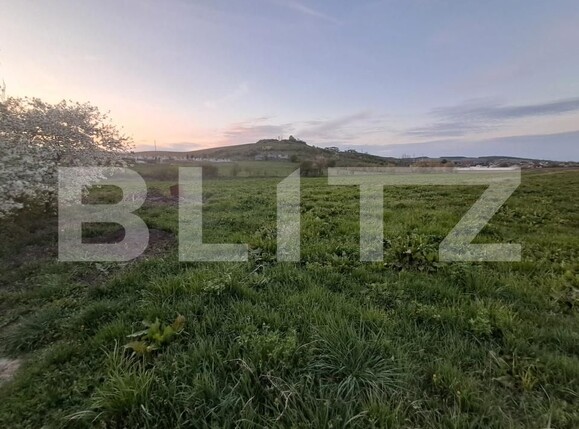 Teren de vânzare Nazna - 193032TV | BLITZ Târgu Mureș | Poza4