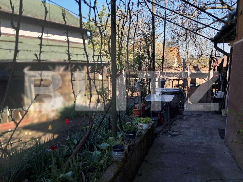 Casa de vânzare 4 camere Sângeorgiu de Mureș - 193033CV | BLITZ Târgu Mureș | Poza12