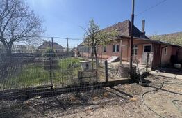 Casă tradițională cu gospodărie și teren de 1263 mp – Dileul Nou