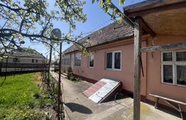 Casă tradițională cu gospodărie și teren de 1263 mp – Dileul Nou