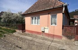 Casa de vânzare 2 camere Reghin - 205568CV | BLITZ Târgu Mureș | Poza3