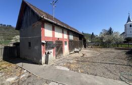 Casă tradițională cu gospodărie și teren de 1263 mp – Dileul Nou