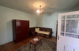 Casă tradițională cu gospodărie și teren de 1263 mp – Dileul Nou