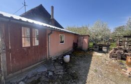 Casă tradițională cu gospodărie și teren de 1263 mp – Dileul Nou