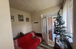Casă tradițională cu gospodărie și teren de 1263 mp – Dileul Nou