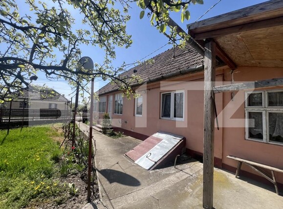 Casa de vânzare 3 camere Dileu Nou - 193086CV | BLITZ Târgu Mureș | Poza3