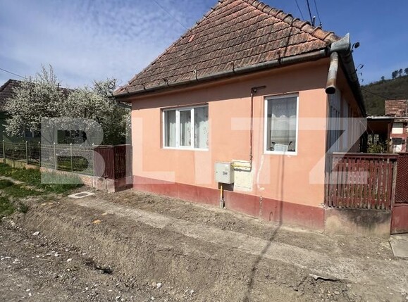Casa de vânzare 3 camere Dileu Nou - 193086CV | BLITZ Târgu Mureș | Poza1