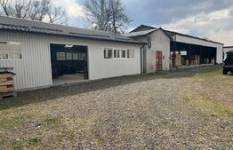 Proprietate cu potențial multiplu – teren 15.802 mp, Reghin
