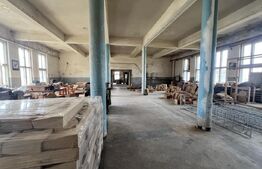 Proprietate cu potențial multiplu – teren 15.802 mp, Reghin
