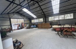 Proprietate cu potențial multiplu – teren 15.802 mp, Reghin
