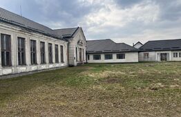 Proprietate cu potențial multiplu – teren 15.802 mp, Reghin