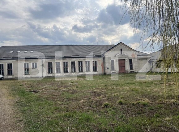 Spațiu industrial de vânzare Reghin - 193094SVI | BLITZ Târgu Mureș | Poza6