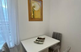Apartament de închiriat 1 camera, 40 mp, zona Piata Garii - Vivat Residence