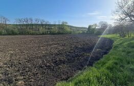 Casă de vânzare la țară – Sat Nandra, Comuna Bichiș, Județ Mureș