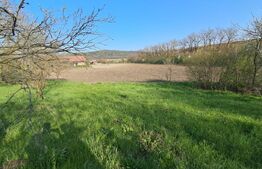 Casă de vânzare la țară – Sat Nandra, Comuna Bichiș, Județ Mureș