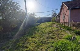 Casă de vânzare la țară – Sat Nandra, Comuna Bichiș, Județ Mureș